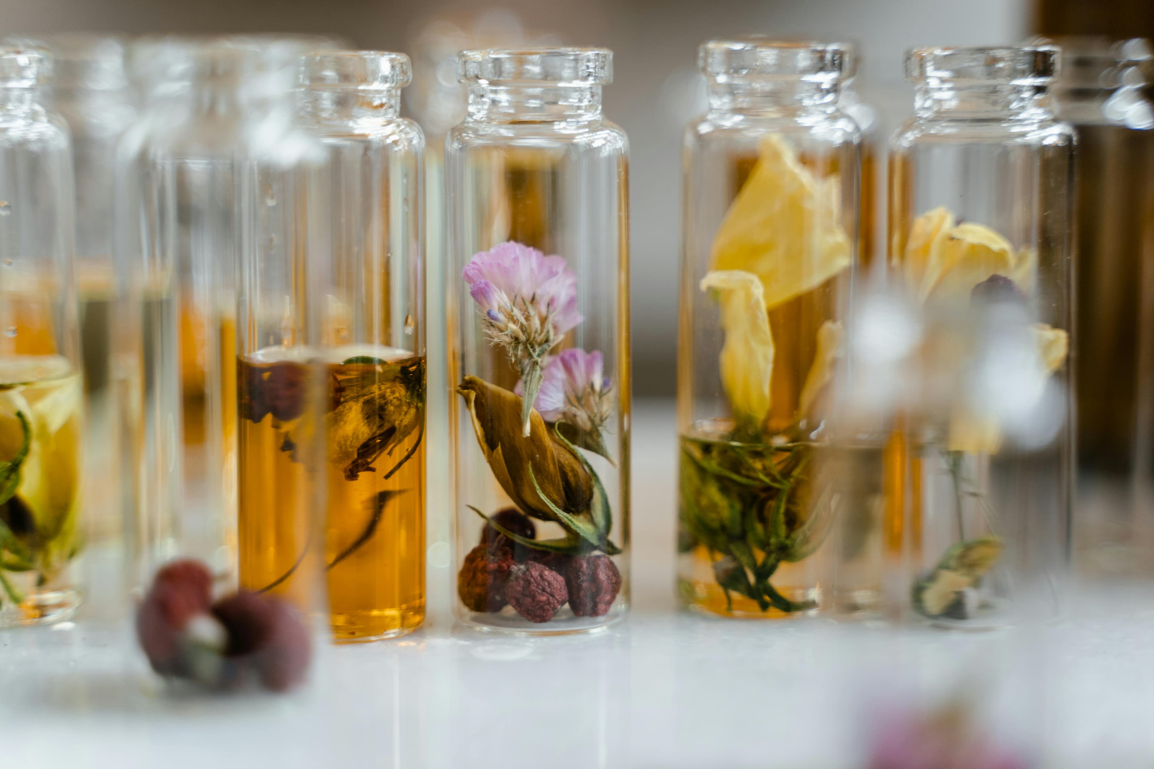 Maceration and maturation